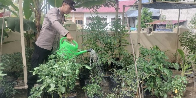 Bhabinkamtibmas Polsek Lawe Alas Ajak Masyarakat Wujudkan Ketahanan Pangan di Kecamatan Lawe Alas, Aceh Tenggara
