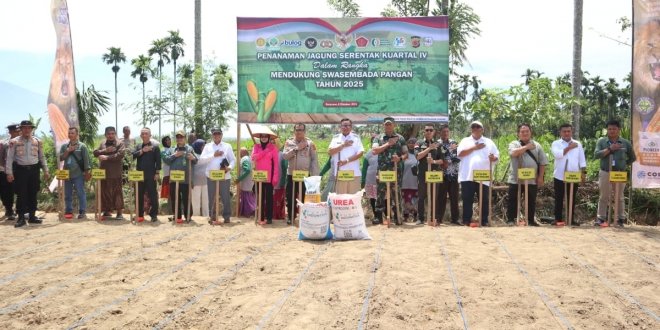 Polres Aceh Tenggara Dukung Program Swasembada Pangan Nasional, Kapolres dan Forkopimda Tanam Jagung Serentak Kuartal IV