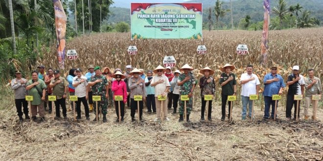 Polres Aceh Tenggara Gelar Panen Raya Jagung Serentak Kuartal III, Dipimpin Kapolri Secara Live Streaming