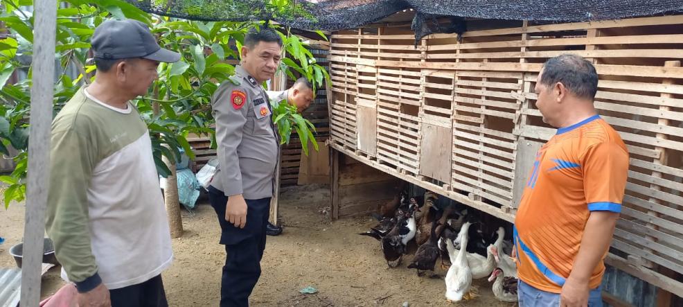 POLSEK LAWE BULAN LAKUKAN SAMBANG WARGA DALAM RANGKA DUKUNG KETAHANAN PANGAN MELALUI TERNAK BEBEK