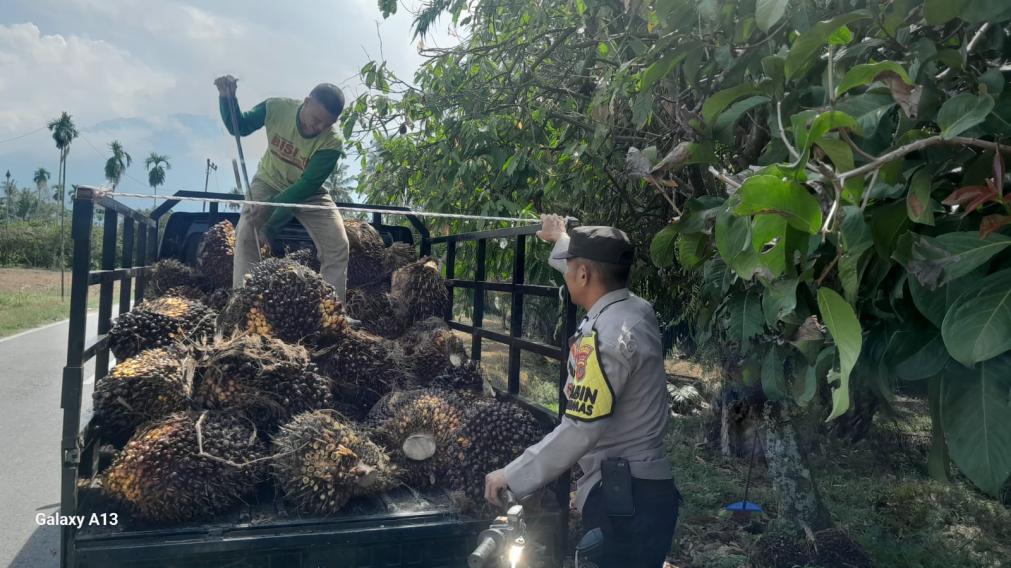 Bhabinkamtibmas Polsek Babul Rahmah Pantau Kegiatan Ketahanan Pangan Masyarakat di Desa Uning Segugur