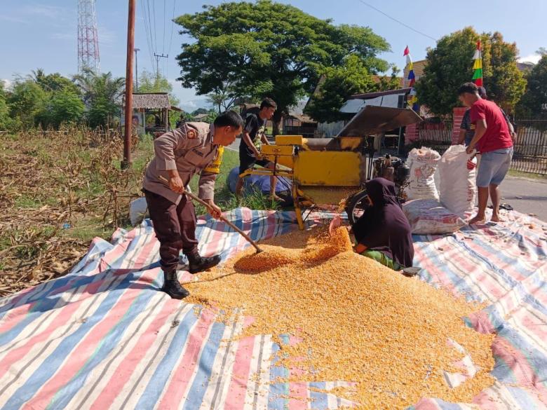 Bhabinkamtibmas Polsek Babul Rahmah Dukung Ketahanan Pangan di Kecamatan Babul Rahmah, Aceh Tenggara