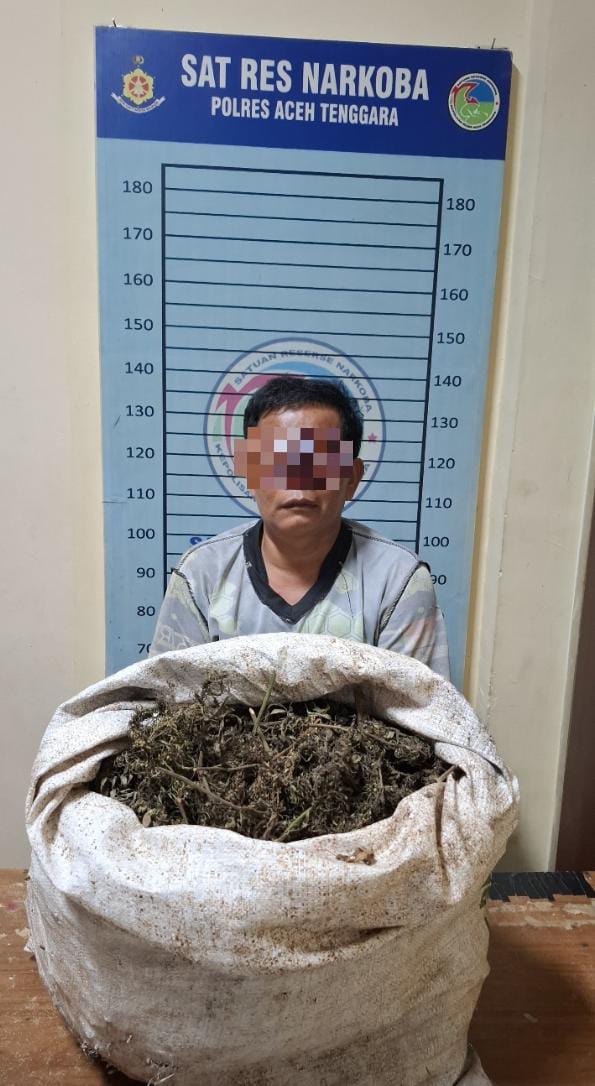 Ganja 4,7 Kg Disembunyikan di Bawah Tempat Tidur, Satresnarkoba Bongkar Peredaran di Ketambe